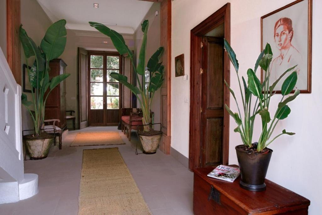 Casa Vina De Alcantara Jerez de la Frontera Extérieur photo