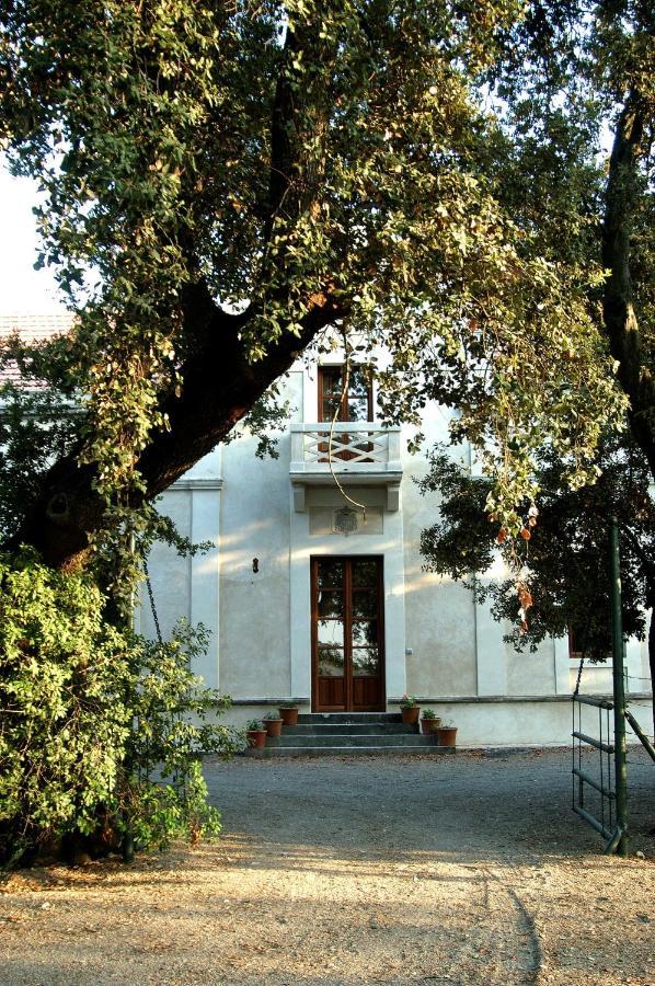 Casa Vina De Alcantara Jerez de la Frontera Extérieur photo